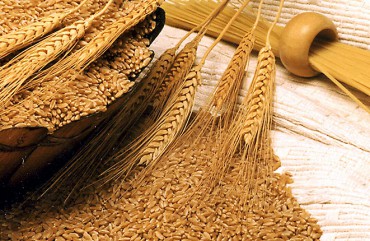 Wheat