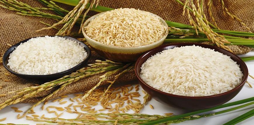 Rice